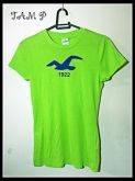HOLLISTER Feminina P